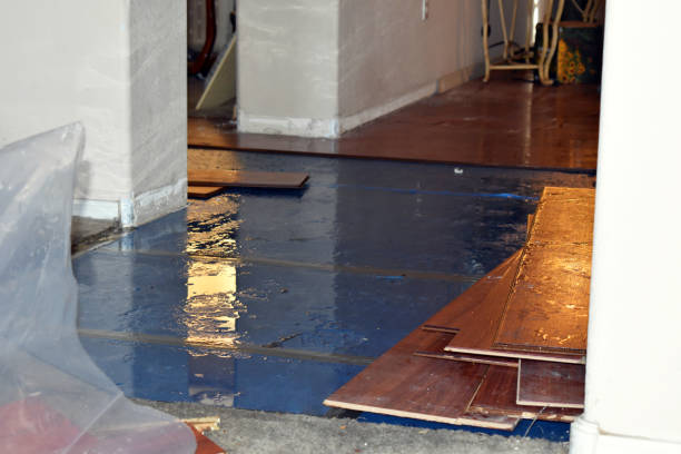 Professional Basement Flood Cleanup technician working in Van Vleck, TX